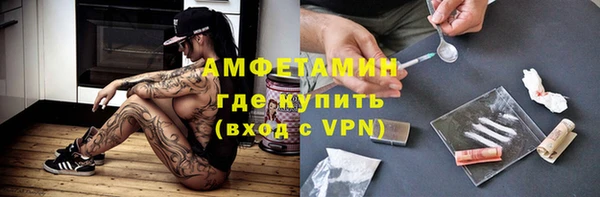 индика Алексин