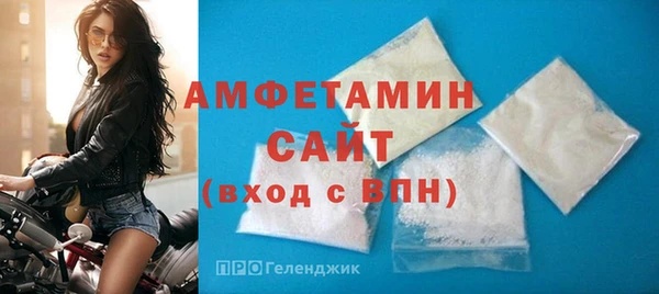 индика Алексин