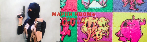 индика Алексин