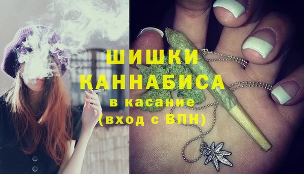 шишки Алексеевка