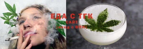 индика Алексин