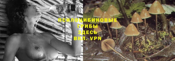 индика Алексин