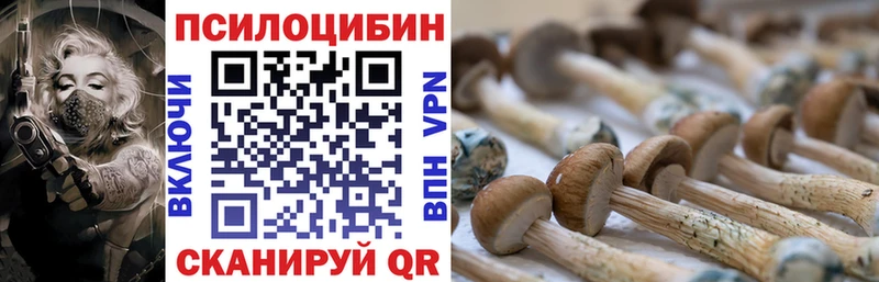 Псилоцибиновые грибы Psilocybe  Менделеевск 