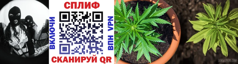 купить наркотик  Менделеевск  Каннабис OG Kush 